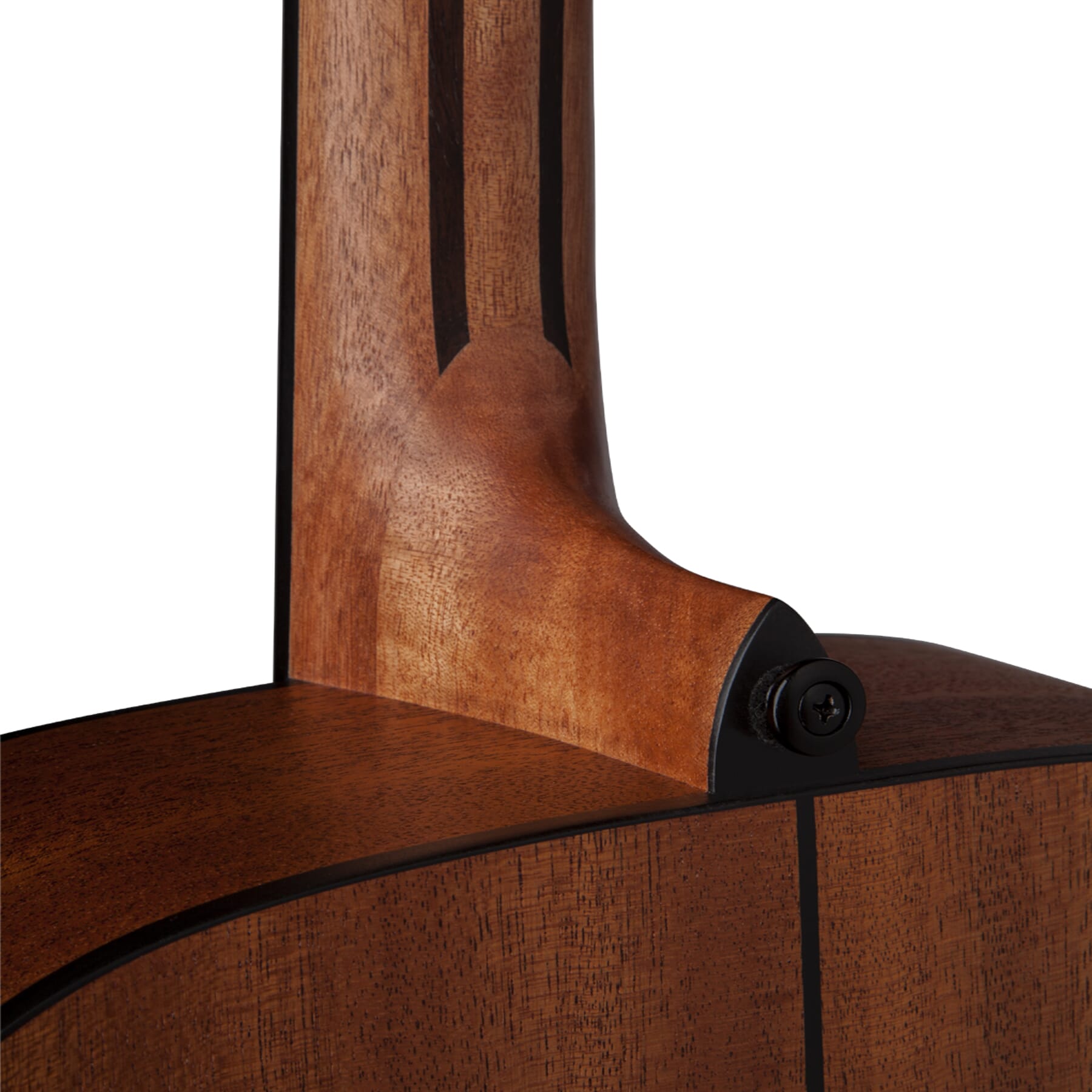 AXS Dreadnought Mahogany Guitar back closeup