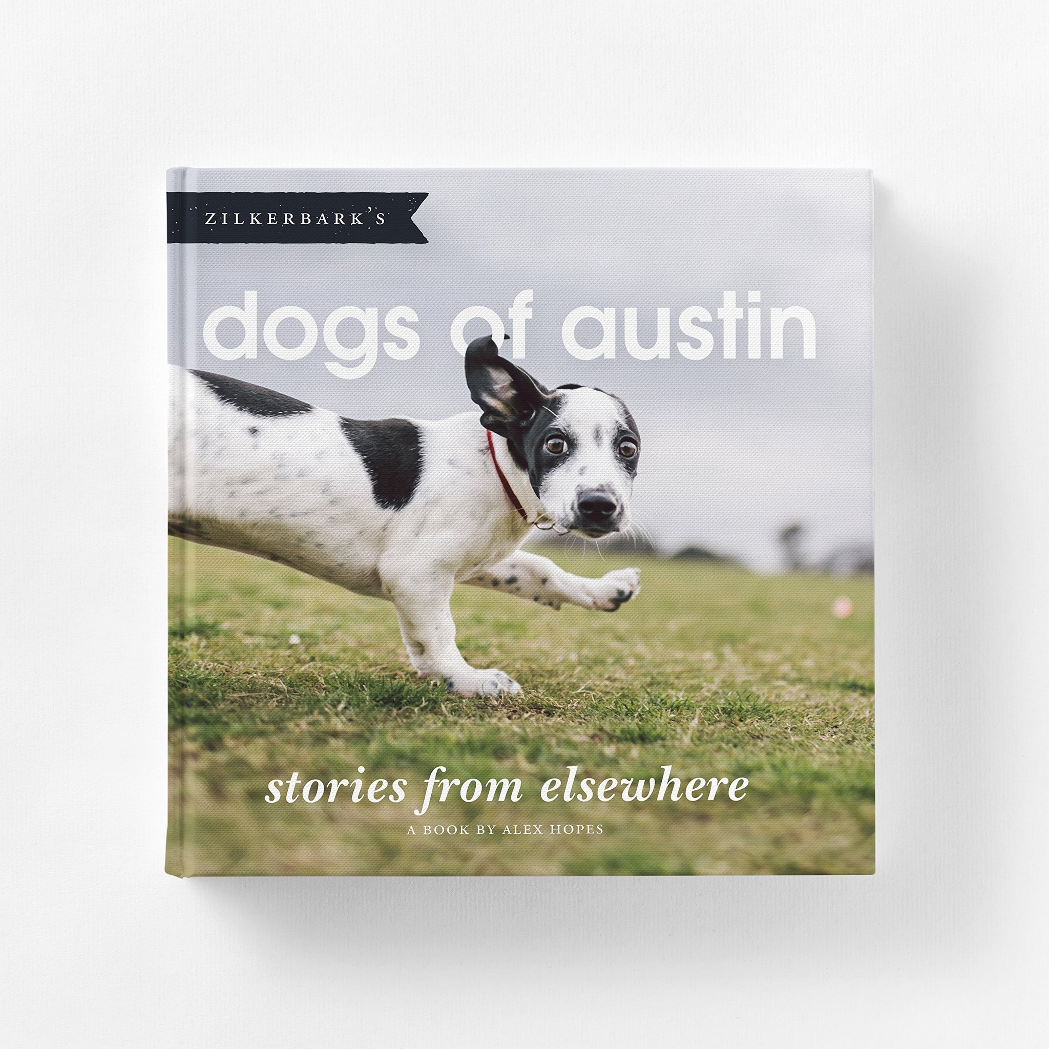 Dogs of Austin: Stories from Elsewhere