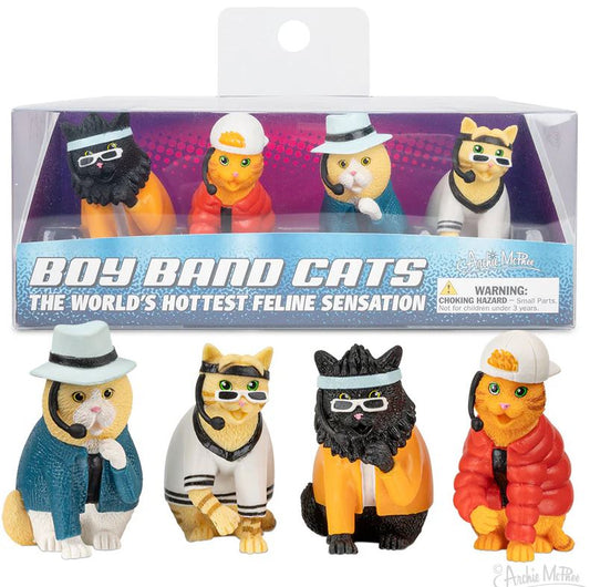 Boy Band Cat Set