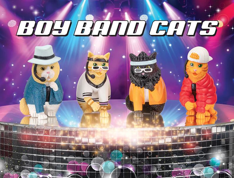 Boy Band Cat Set