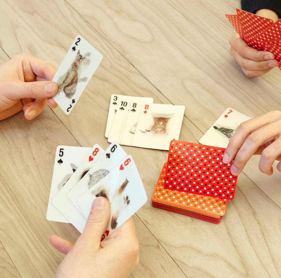 3D Cat Playing Cards