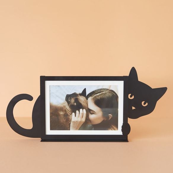 Hidden Cat Picture Frames horizontal