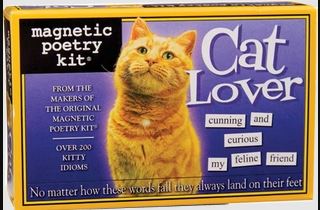 Cat Lover Magnetic Poetry Set