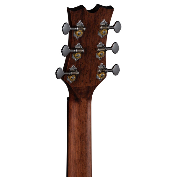 St Augustine Dread CAW A/E Vintage Burst Guitar headstock back